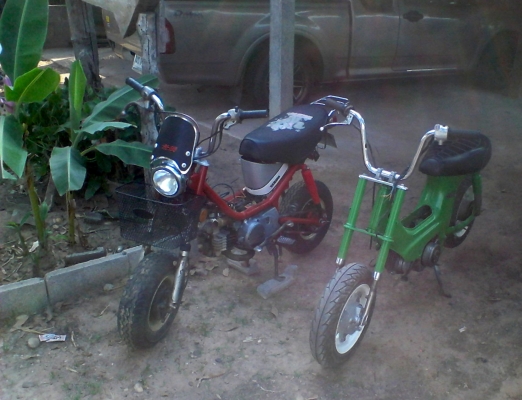 ขาย ชาลี(ยืนคัน) 7800 บาท ตามรูป โทร 090-7960321