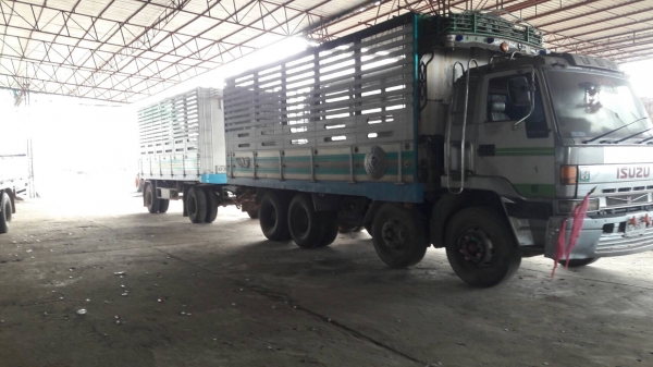 Isuzu 270 แรงม้า พ่วงแม่ลูก 2 คาน คอกเกษตร พร้อมใช้งาน