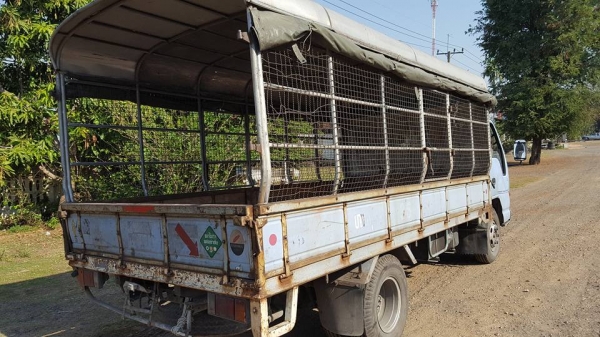 ขายด่วน NPR120 ปี43 ฝาขาว รถเดิมบางทั้งคัน เครื่องดีมาก คัสชีสวยตลอดเส้นไม่มีบวม หัวเดิมบางสวยไม่ผุ 