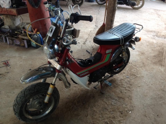 ขายชาลี