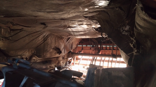 หัวเก๋งฟูโซ่เฉินหลง. สามใบปัด. หัวใหญ่. สภาพสวยหายาก