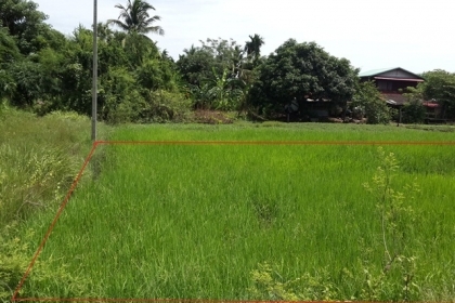 ขายที่ดิน