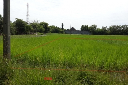 ขายที่ดิน