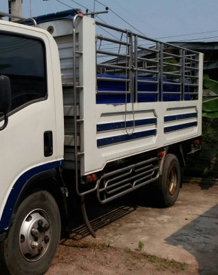 หกล้อ อีซูชุ NPR150ปี54 และ NQR175ปี56 ช่วงยาว 4.50ม กะบะสะเเตลเรส ทุกคัน รถห้าง สภาพดีสวยพร้อมใช้ มี2คัน ขายคันละ 655,000บ ทะเบียนพร้อมโอน