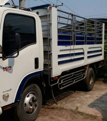 หกล้อ อีซูชุ NPR150ปี54 และ NQR175ปี56 ช่วงยาว 4.50ม กะบะสะเเตลเรส ทุกคัน รถห้าง สภาพดีสวยพร้อมใช้ มี2คัน ขายคันละ 655,000บ ทะเบียนพร้อมโอน