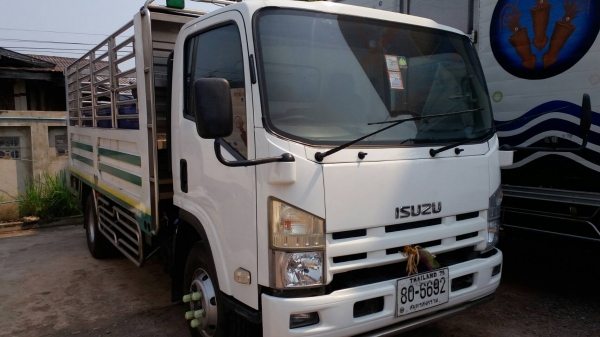 หกล้อ อีซูชุ NPR150ปี54 และ NQR175ปี56 ช่วงยาว 4.50ม กะบะสะเเตลเรส ทุกคัน รถห้าง สภาพดีสวยพร้อมใช้ มี2คัน ขายคันละ 655,000บ ทะเบียนพร้อมโอน