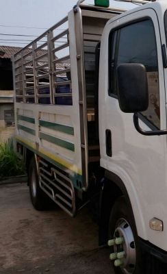 หกล้อ อีซูชุ NPR150ปี54 และ NQR175ปี56 ช่วงยาว 4.50ม กะบะสะเเตลเรส ทุกคัน รถห้าง สภาพดีสวยพร้อมใช้ มี2คัน ขายคันละ 655,000บ ทะเบียนพร้อมโอน