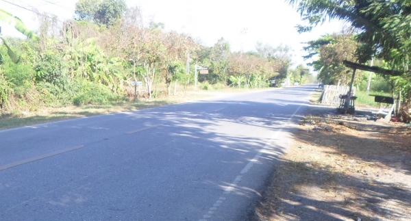 ที่เปล่า 100ตรว. หนองจอก กทม. ที่เปล่า 100ตรว. หนองจอก กทม.