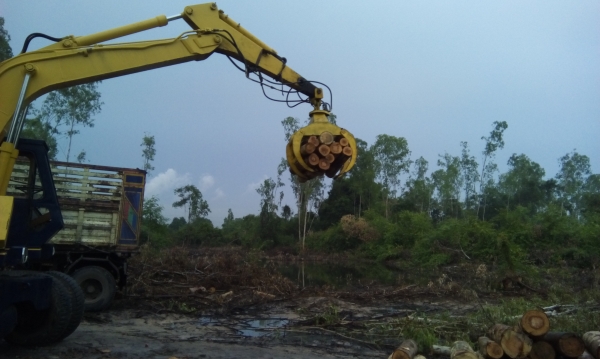 ขายมือคีบเอาค่าแรง