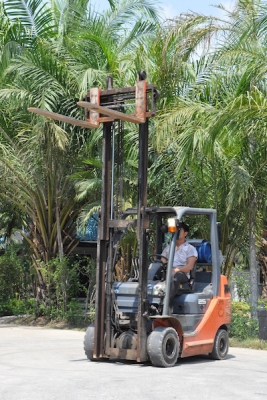 ขายFORKLIFT TOTOTA รุ่น8FG25(2.5ตัน) สวยเดิมจากญี่ปุ่น ยังไม่เคยใช้ในไทย 199,000เท่านั้น!!