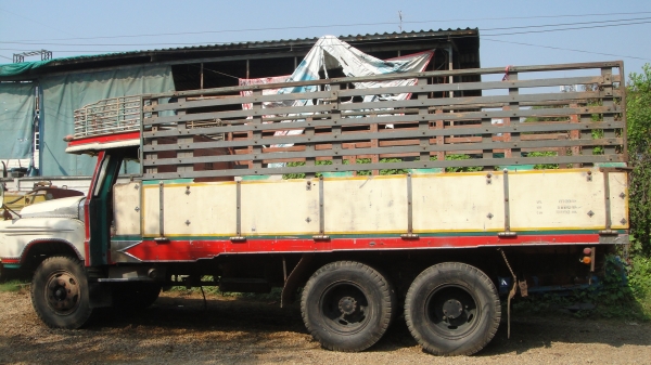 10ล้อ หัวยาวเพลาเดียว เครื่อง6BF 185แรง ช่วงล่างร็อคกี้ เพาเวอร์ คัสฃีสวย ยางดี10เส้น รถขับดีมาก เจ้าของเดิมใช้อยู่ทุกวันดูแลดี สวยสุดในรุ่นเดียวกัน ราคาถูก