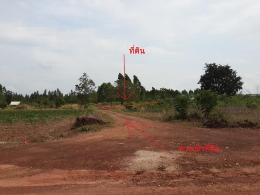 ที่ดินเปล่า ด่วนๆๆ ขายที่ดินเปล่า เกาะขนุน อ.พนมสารคาม