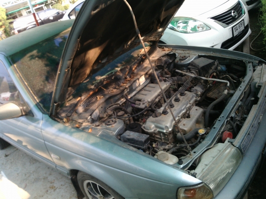 นิสสัน ซันนี่ nissan sunny ขายซาก เเยกอะไหล่ นิสสัน ซันนี่ nissan sunny ขายซาก เเยกอะไหล่