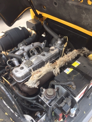 TCM FD25Z5 เครื่องดีเซล เกียร์ออโต้ เสาสูง3เมตร สนใจตืดต่อ083-062-0223(ปอน)