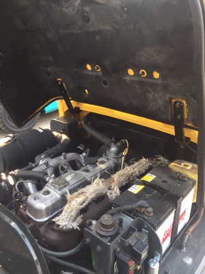 TCM FD25Z5 เครื่องดีเซล เกียร์ออโต้ เสาสูง3เมตร สนใจตืดต่อ083-062-0223(ปอน)