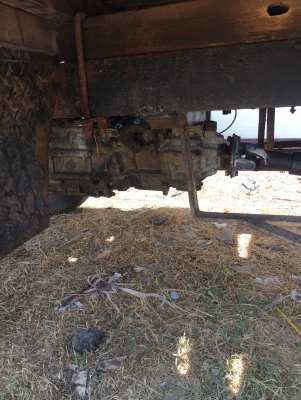 ขายรถอีแต๋น ขายรถอีแต๋น