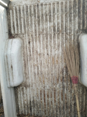 กะบะอีซุซุมังกรตอนเดียวแท้ติดรถ