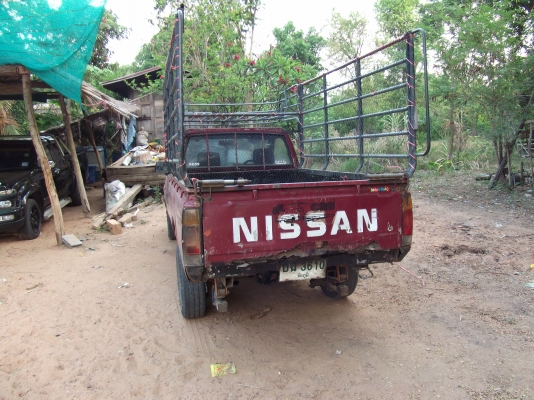 นิสสันบิ๊กเอ็มขาย55000บาท นิสสันบิ๊กเอ็มขาย55000บาท