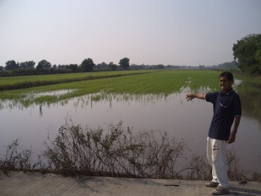 ขายที่ดินแปลงสวย 80ไร่ ต.ลำศาลา อ.วิหารแดง จ.สระบุรี