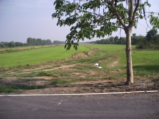 ขายที่ดินแปลงสวย 80ไร่ ต.ลำศาลา อ.วิหารแดง จ.สระบุรี