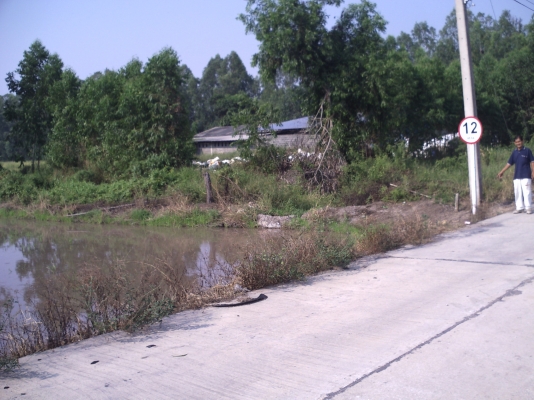 ขายที่ดินแปลงสวย 80ไร่ ต.ลำศาลา อ.วิหารแดง จ.สระบุรี