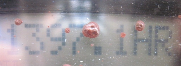 ขายรถยกขนาด 1.5 ตัน เสาสูง 6 เมตร นำเข้าจากญี่ปุ่น