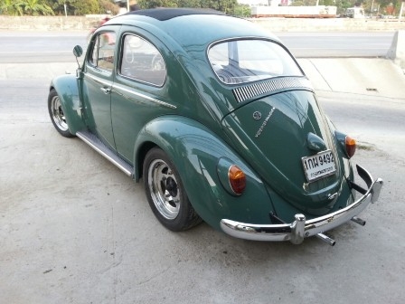 เต่าหลังคาถลก 63 สวย ใหม่ วิ้งๆ