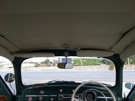 เต่าหลังคาถลก 63 สวย ใหม่ วิ้งๆ