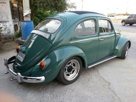 เต่าหลังคาถลก 63 สวย ใหม่ วิ้งๆ