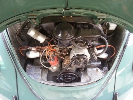 เต่าหลังคาถลก 63 สวย ใหม่ วิ้งๆ