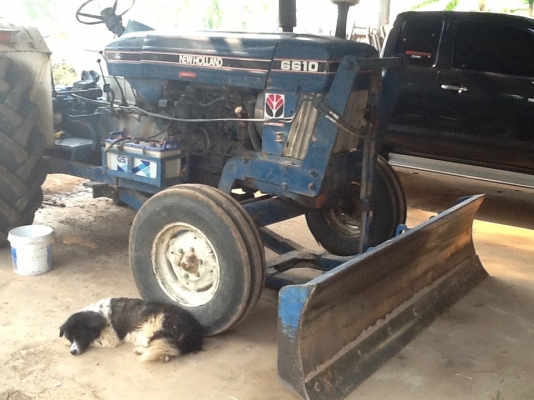 Ford 6610 เสื้อลาย 440,000 ไม่ขาย จัดไปเพียง 420000