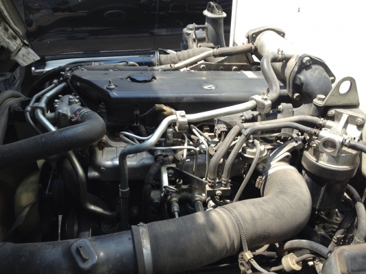 ขาย ISUZU NQR 175 HP