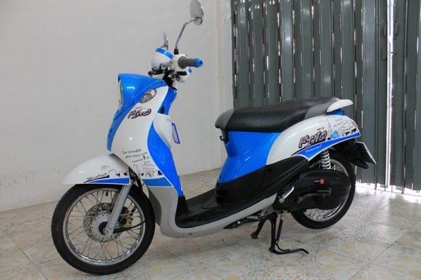 Fino ปี 55 เกย์น้ำมันแยก อายุ 10 เดือน ลายปารีส ไม่แพง อยู่ลำปาง