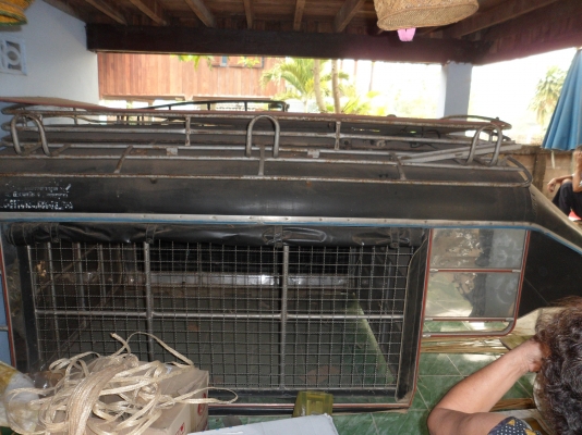 หลังคาผ้าใบไมตี้แคป