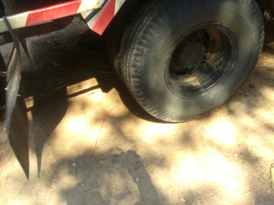 ขายด่วน 115 แท้ สวยๆ คอกเกษตรดั้ม เฟืองท้าย F