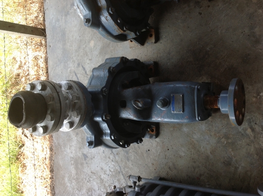 ขายปั้มน้ำหอยโข่งเก่าญี่ปุ่นยี่ห้อ EBARA ขนาด 4x3 นิ้ว( เข้า4นิ้ว ออก3นิ้ว) สภาพสวยมากๆ ขายปั้มน้ำหอยโข่งเก่าญี่ปุ่นยี่ห้อ EBARA ขนาด 4x3 นิ้ว( เข้า4นิ้ว ออก3นิ้ว) สภาพสวยมากๆ