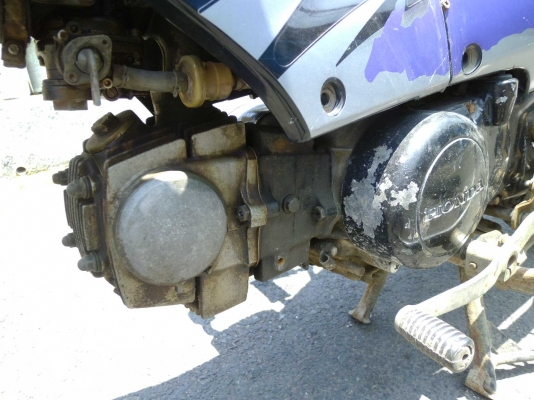 ขาย Honda Nice 100 ตัวแรก