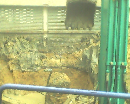 รับซื้อโครงเหล็ก บ้านเก่าอาคารเก่าโครงสร้างหรือ สิ่งปลูกสร้างทุกชนิด