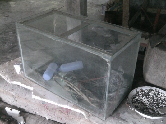 ตู้ปลากระจกหนา8มิล 1000 ฿ 0861721580