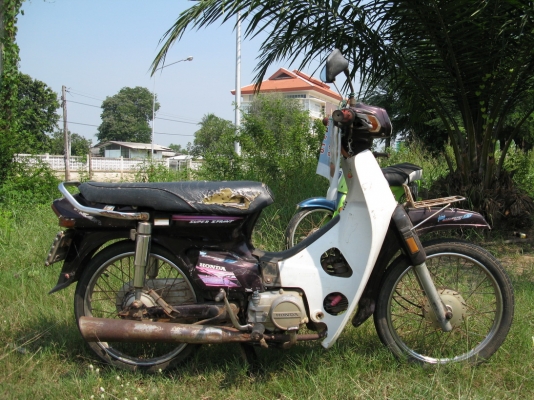 ดรีม คุรุ สุพรรณบุรี