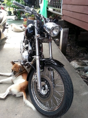 ขาย Yamaha Virago 400CC โครเมี่ยมทั้งคัน ทะเบียนแท้ + พรบ แท้พร้อมโอน