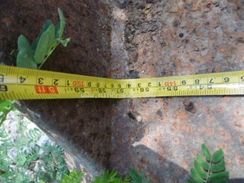 ราคาพิเศษ 12,000 บาท!! บุ้งกี้ รหัสสินค้า : 80903610 www.nihonmono.com