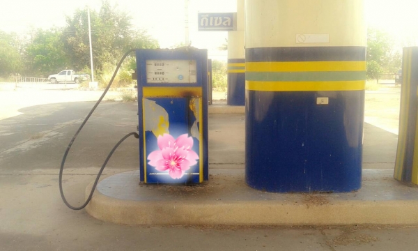 ขายตู้พร้อมหัวจ่ายน้ำมัน 6 ชุด เป็นแบบดิจิตอล 2 หัวจ่าย 1 ชุด ราคาขายเหมา 6 ชุดราคา 120000