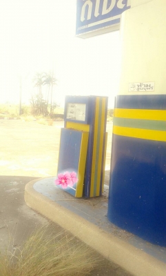 ขายตู้พร้อมหัวจ่ายน้ำมัน 6 ชุด เป็นแบบดิจิตอล 2 หัวจ่าย 1 ชุด ราคาขายเหมา 6 ชุดราคา 120000