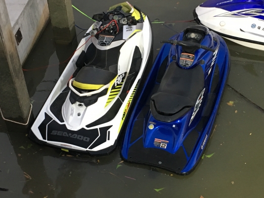 Rxp 300