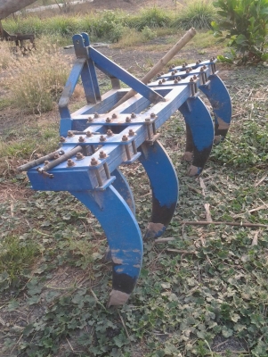 ขายลิปเปอร์ (ขาขูดหญ้าในร่องอ้อย)