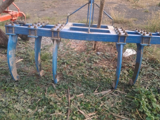 ขายลิปเปอร์ (ขาขูดหญ้าในร่องอ้อย) ขายลิปเปอร์ (ขาขูดหญ้าในร่องอ้อย)