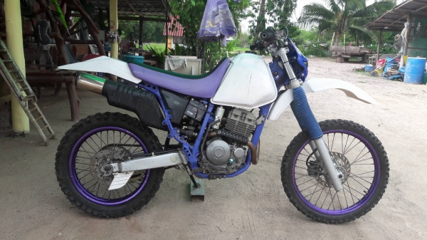 1997ttr250