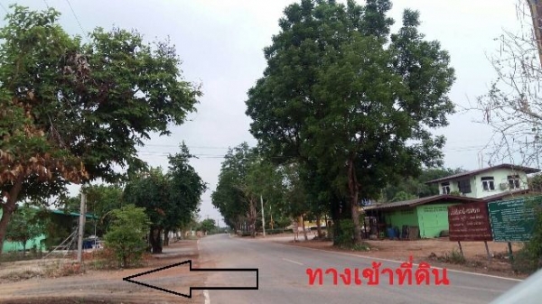 ที่ดินเปล่าสวยๆ ที่ดินเปล่าสวยๆ