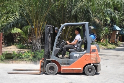 ขายFORKLIFT TOTOTA รุ่น8FG25(2.5ตัน) สวยเดิมจากญี่ปุ่น ยังไม่เคยใช้ในไทย 199,000เท่านั้น!! ขายFORKLIFT TOTOTA รุ่น8FG25(2.5ตัน) สวยเดิมจากญี่ปุ่น ยังไม่เคยใช้ในไทย 199,000เท่านั้น!!